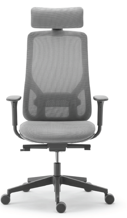 Sokoa Eman High-Back