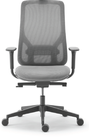 Sokoa Eman Medium-Back
